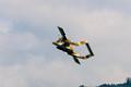 Airpower2013_011