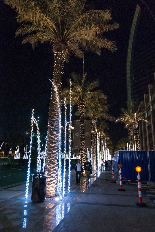 Dubai2012_064.jpg - (C) Peter Graefling 2012