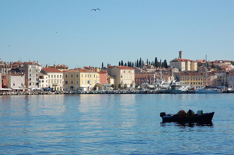 DSC_5383.JPG