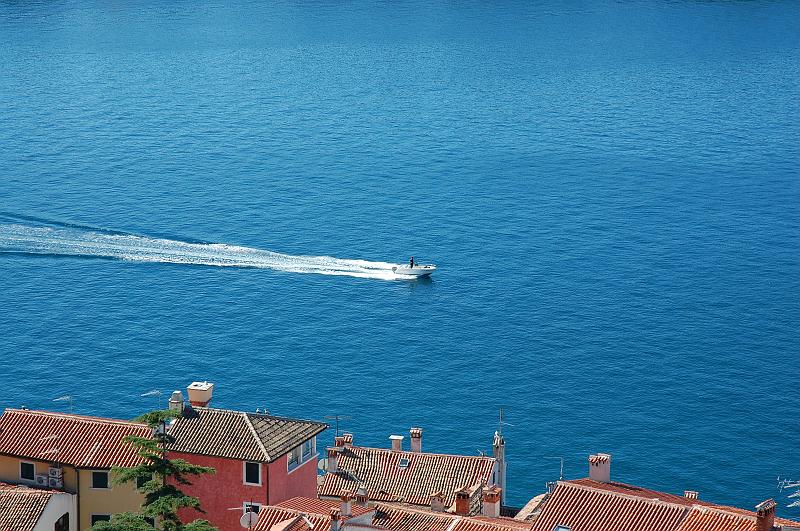 DSC_5413.JPG