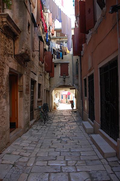 DSC_5434.JPG