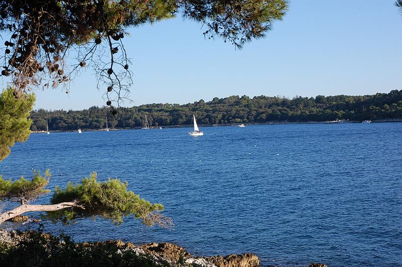 DSC_5443.JPG