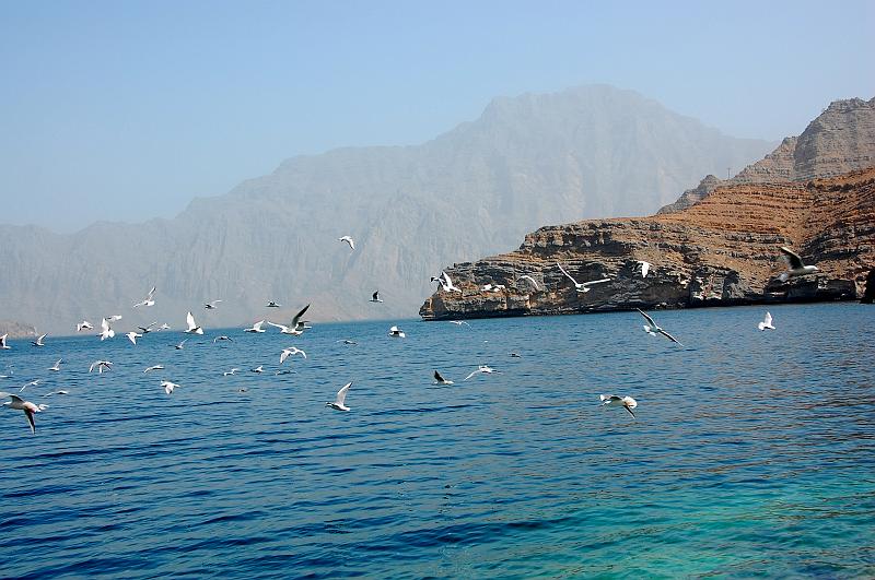 Oman_Musandam_151.JPG - (C)Peter Graefling 2008