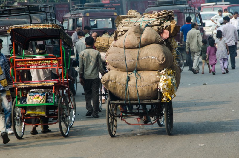 Indien_041.jpg - (C) Peter Graefling 2012