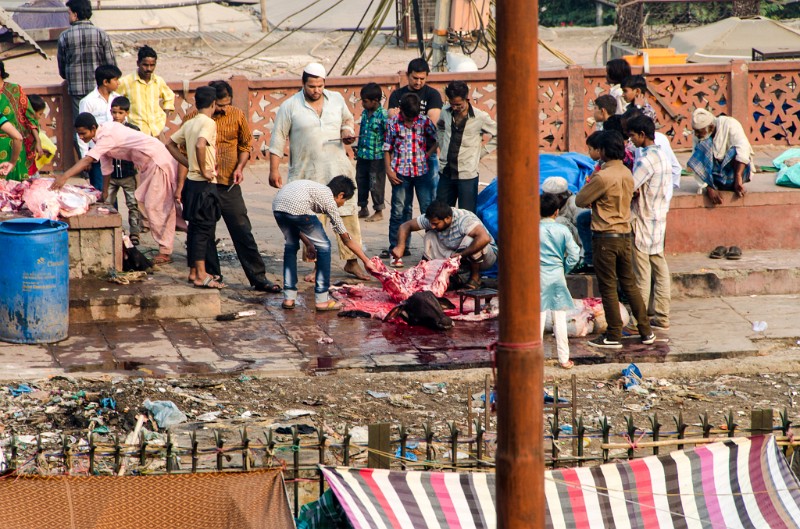 Indien_055.jpg - (C) Peter Graefling 2012