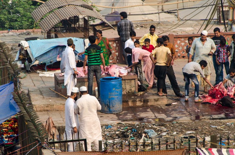 Indien_056.jpg - (C) Peter Graefling 2012