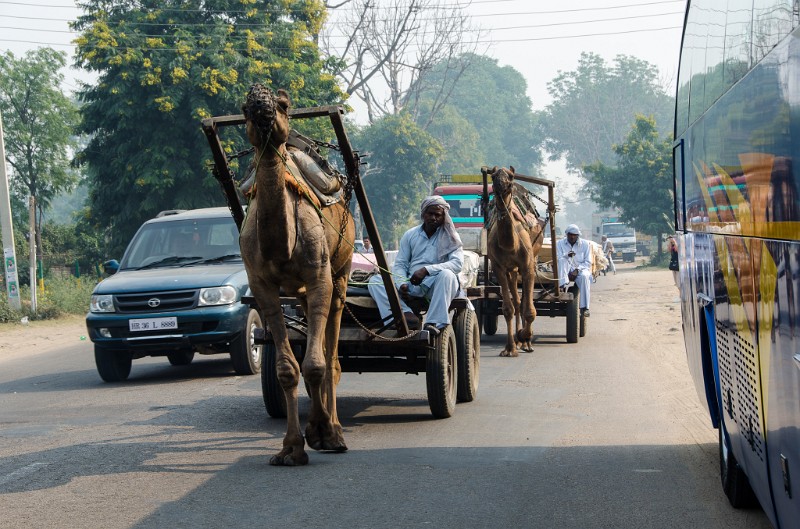 Indien_074.jpg - (C) Peter Graefling 2012