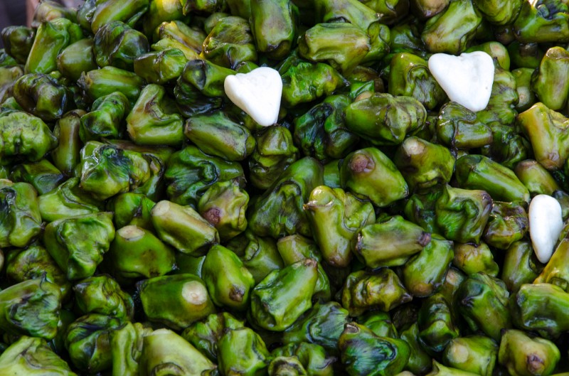 Indien_078.jpg - (C) Peter Graefling 2012