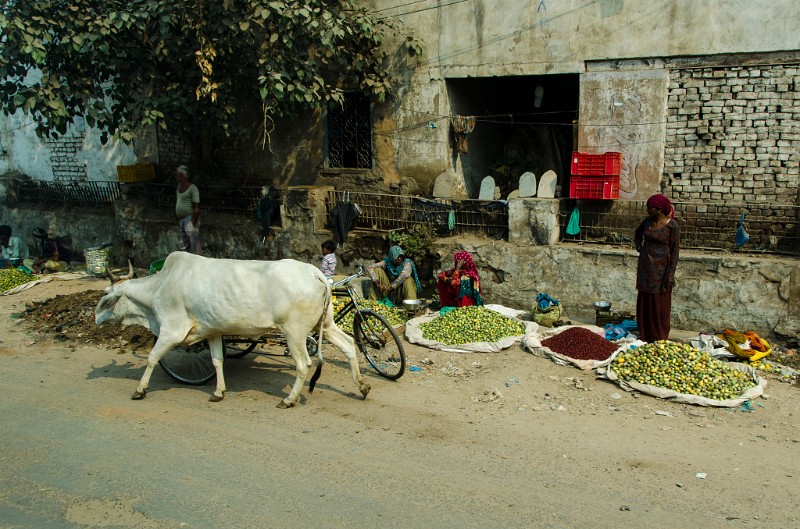 Indien_085.jpg - (C) Peter Graefling 2012