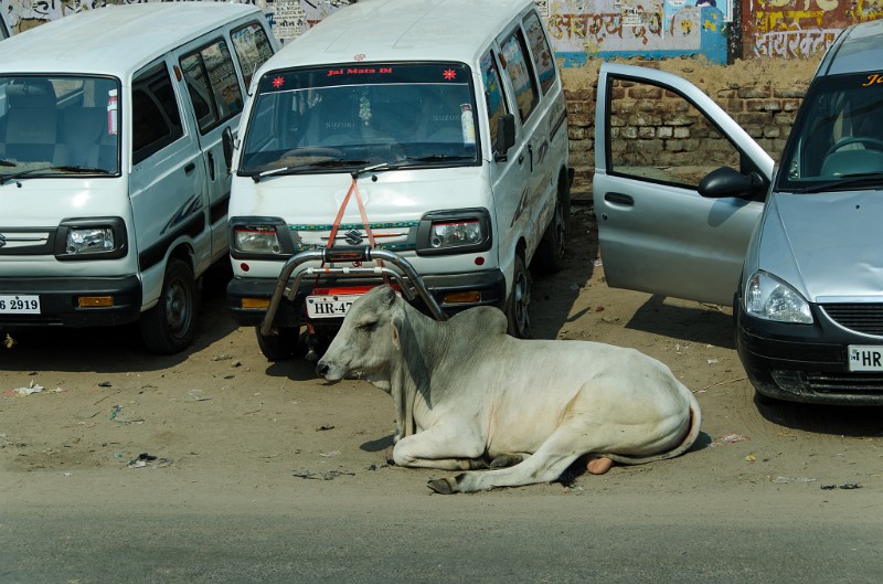 Indien_094.jpg - (C) Peter Graefling 2012