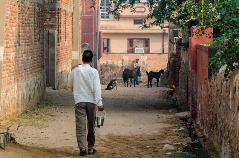 Indien_141.jpg - (C) Peter Graefling 2012