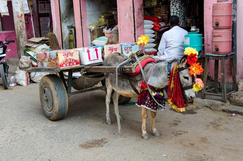 Indien_157.jpg - (C) Peter Graefling 2012