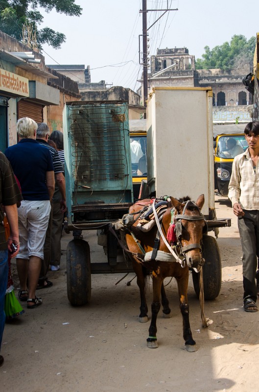 Indien_175.jpg - (C) Peter Graefling 2012