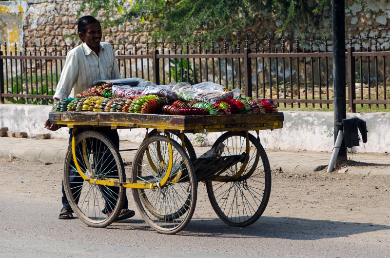 Indien_249.jpg - (C) Peter Graefling 2012