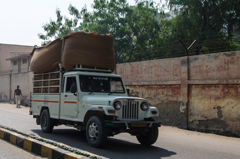 Indien_254.jpg - (C) Peter Graefling 2012