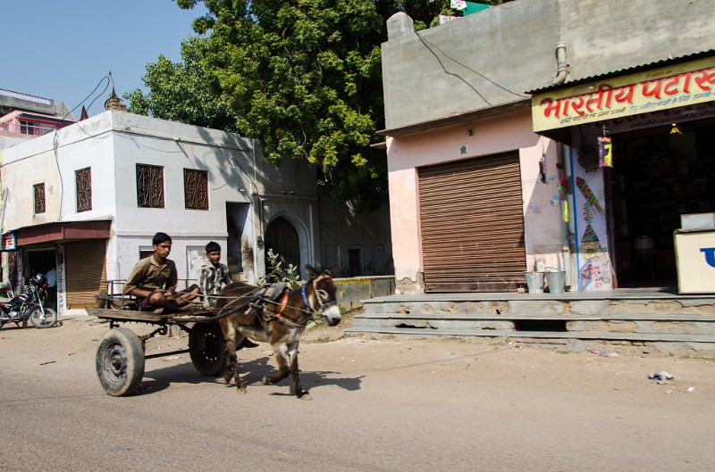 Indien_257.jpg - (C) Peter Graefling 2012