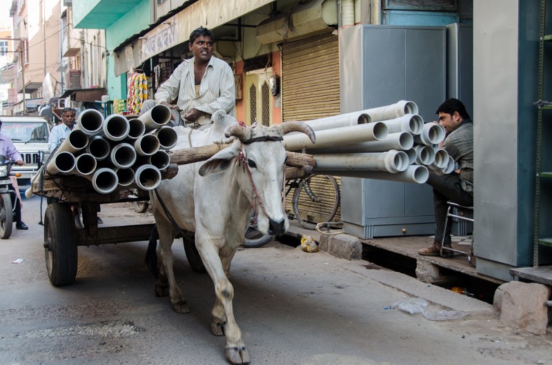 Indien_270.jpg - (C) Peter Graefling 2012