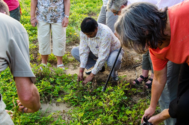 Indien_284.jpg - (C) Peter Graefling 2012