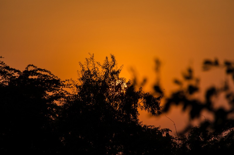 Indien_287.jpg - (C) Peter Graefling 2012