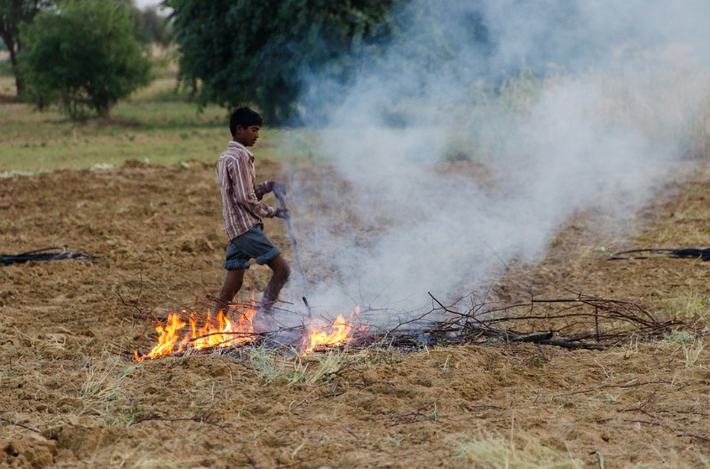 Indien_291.jpg - (C) Peter Graefling 2012