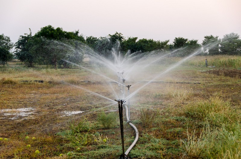 Indien_292.jpg - (C) Peter Graefling 2012