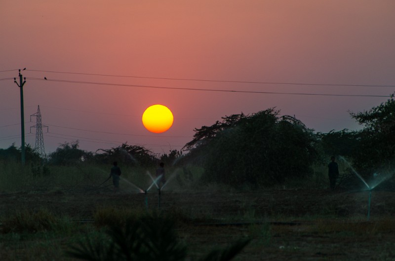 Indien_296.jpg - (C) Peter Graefling 2012