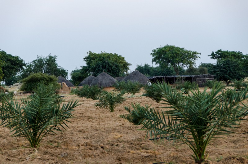 Indien_297.jpg - (C) Peter Graefling 2012