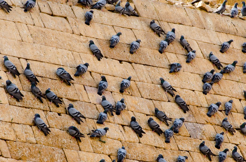 Indien_330.jpg - (C) Peter Graefling 2012