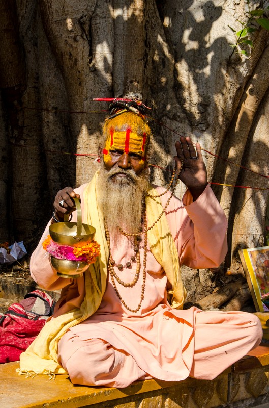 Indien_358.jpg - (C) Peter Graefling 2012