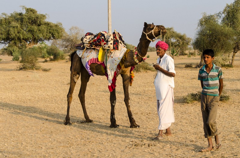 Indien_406.jpg - (C) Peter Graefling 2012