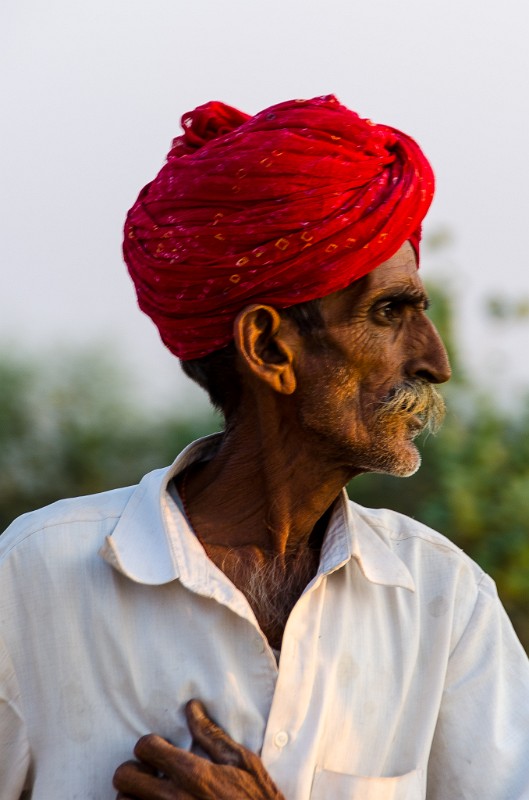 Indien_411.jpg - (C) Peter Graefling 2012