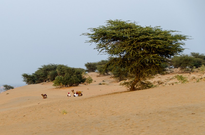 Indien_418.jpg - (C) Peter Graefling 2012