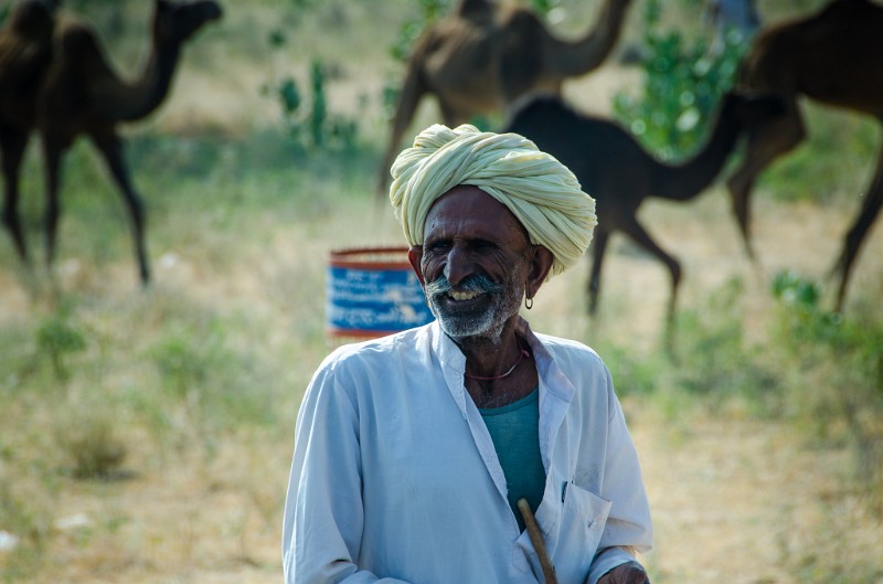 Indien_428.jpg - (C) Peter Graefling 2012