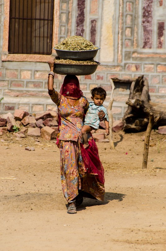 Indien_431.jpg - (C) Peter Graefling 2012