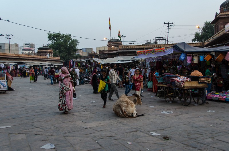 Indien_469.jpg - (C) Peter Graefling 2012