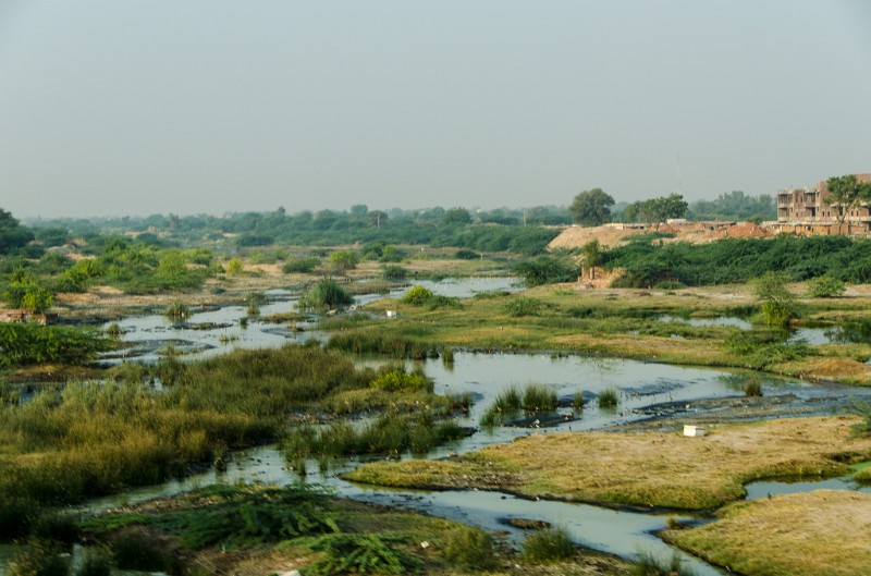 Indien_470.jpg - (C) Peter Graefling 2012