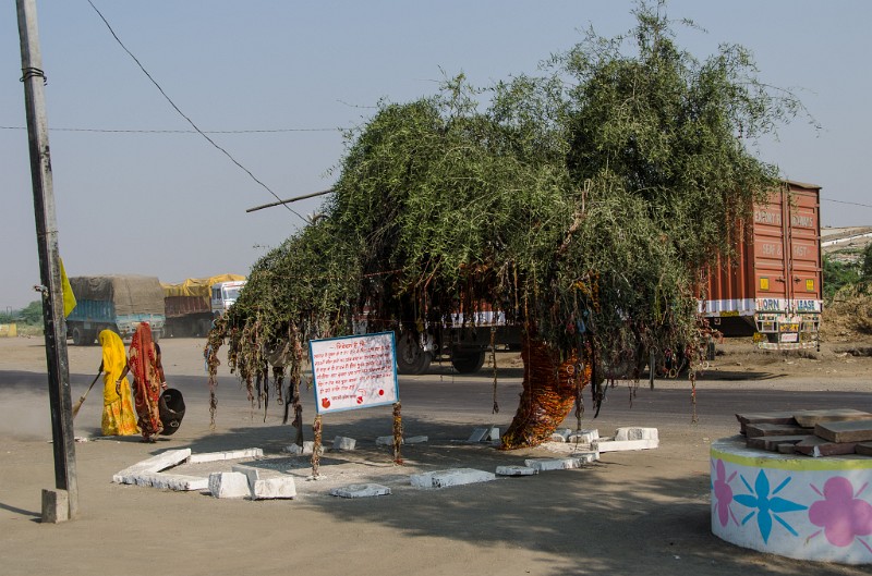 Indien_478.jpg - (C) Peter Graefling 2012