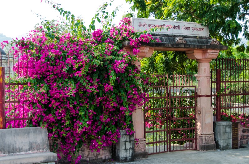 Indien_500.jpg - (C) Peter Graefling 2012