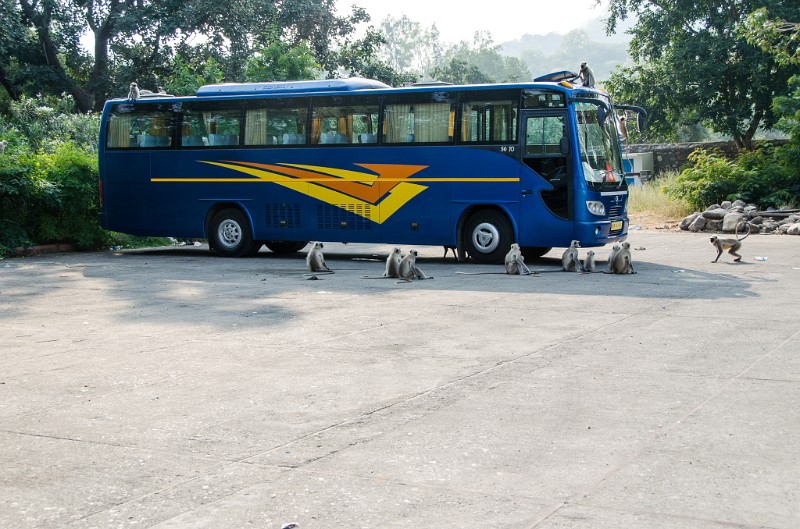 Indien_502.jpg - (C) Peter Graefling 2012