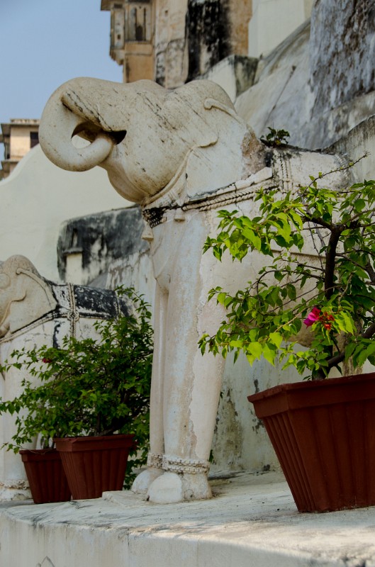 Indien_546.jpg - (C) Peter Graefling 2012