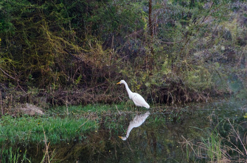 Indien_612.jpg - (C) Peter Graefling 2012