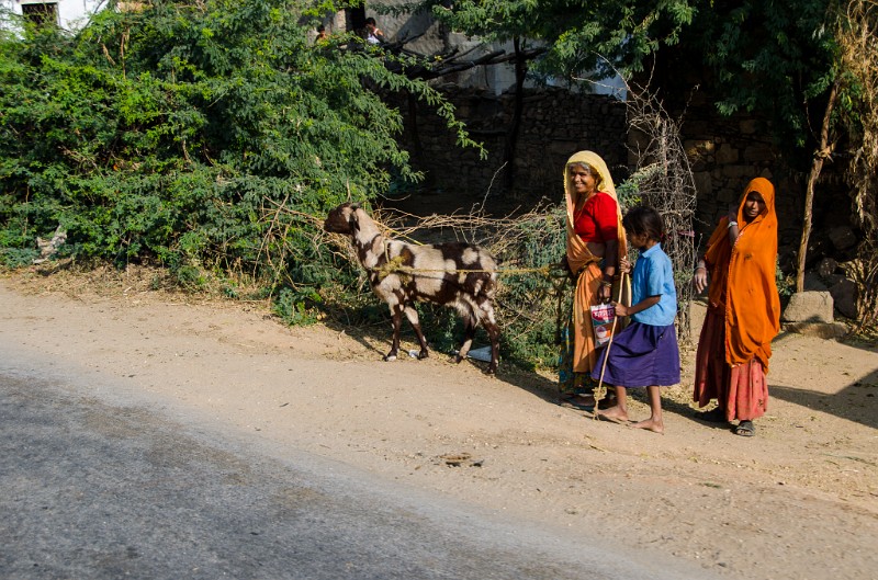 Indien_635.jpg - (C) Peter Graefling 2012