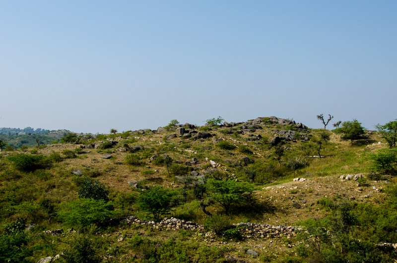 Indien_661.jpg - (C) Peter Graefling 2012