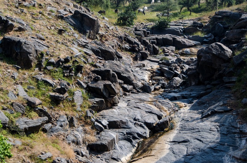 Indien_665.jpg - (C) Peter Graefling 2012