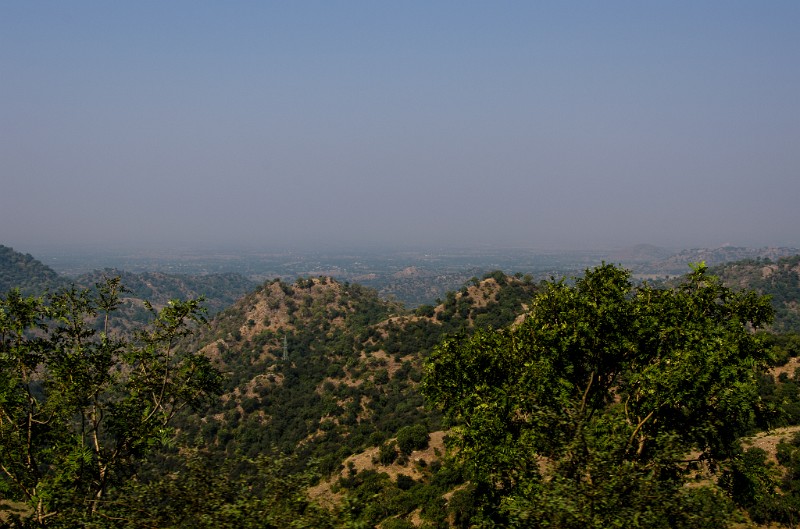 Indien_666.jpg - (C) Peter Graefling 2012