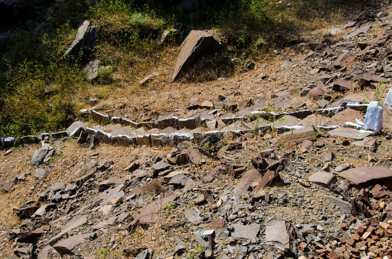 Indien_668.jpg - (C) Peter Graefling 2012