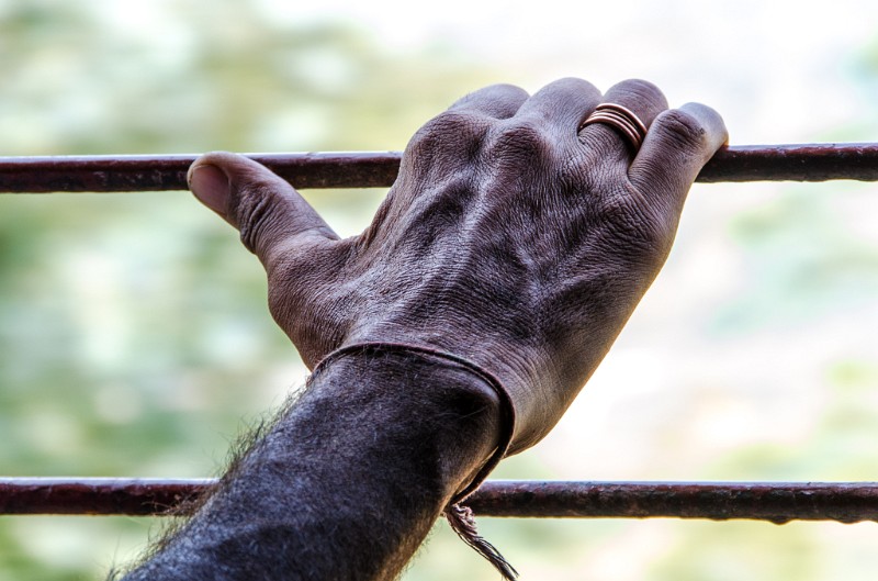 Indien_670.jpg - (C) Peter Graefling 2012