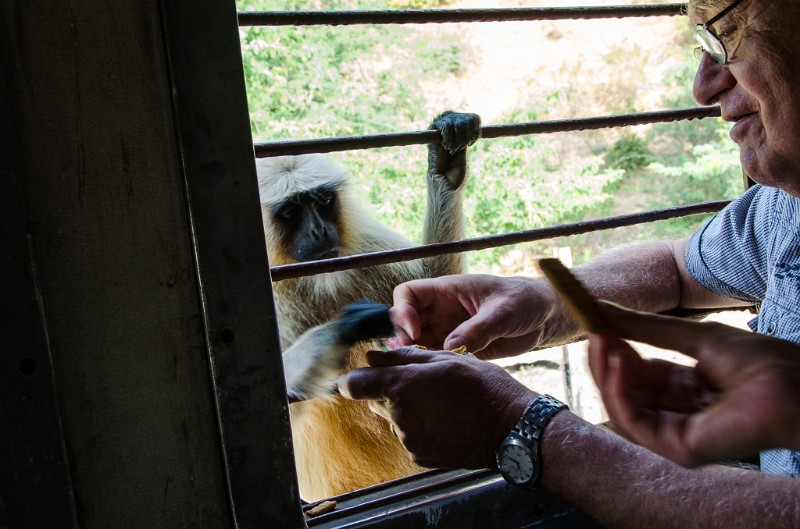 Indien_674.jpg - (C) Peter Graefling 2012