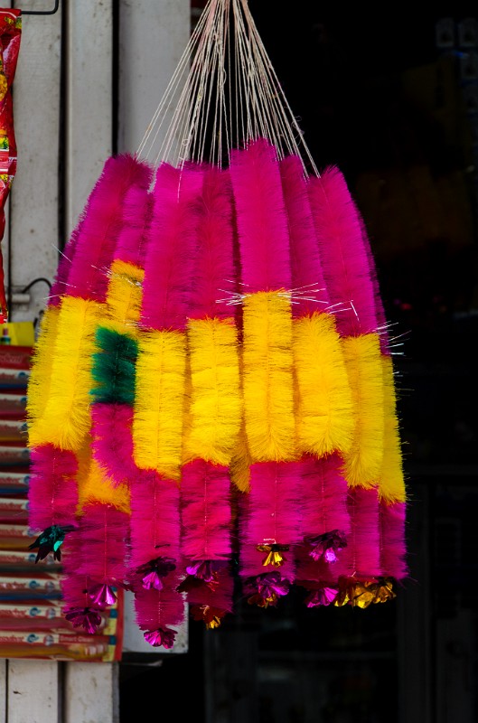 Indien_691.jpg - (C) Peter Graefling 2012