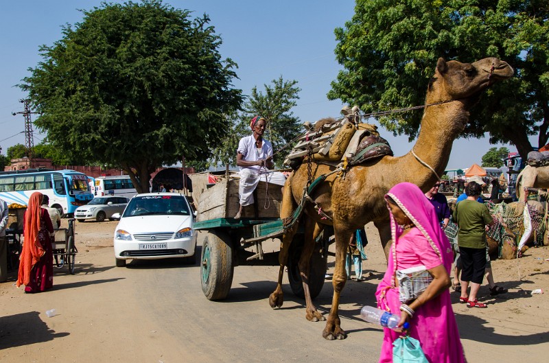 Indien_713.jpg - (C) Peter Graefling 2012